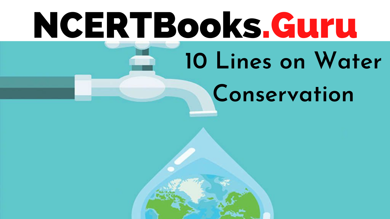 10 Lines on Water Conservation