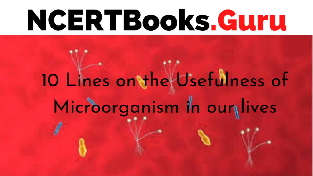 10 Lines on the Usefulness of Microorganism in our lives