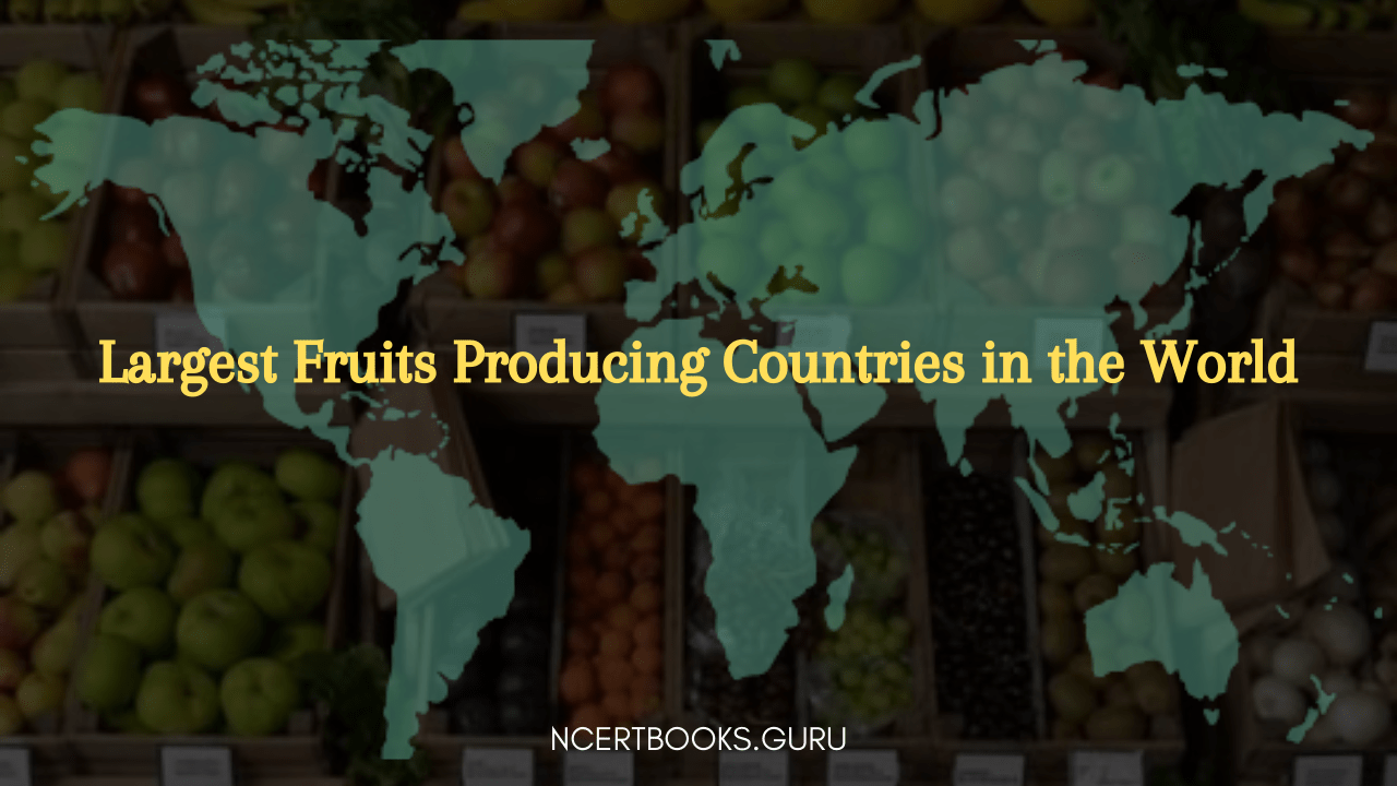 Largest Fruits Producing Countries in the World