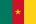 cameroon national flag