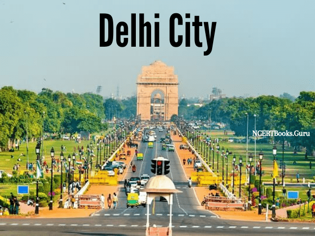 delhi 2nd most populated city in the world