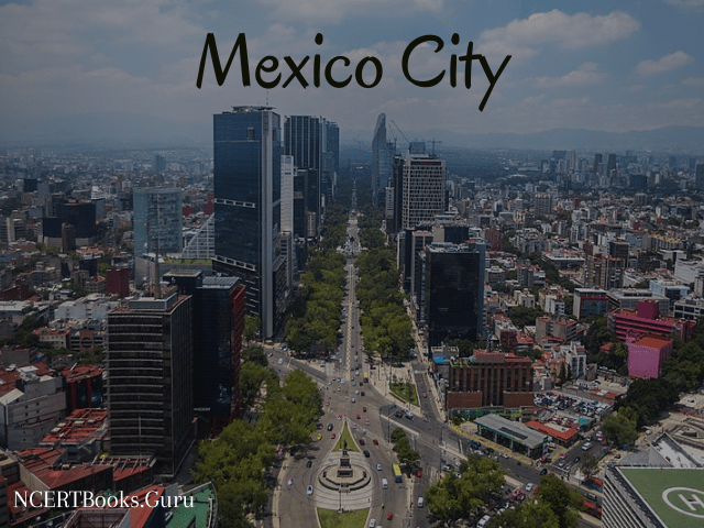 fifth populated city of the world mexico city