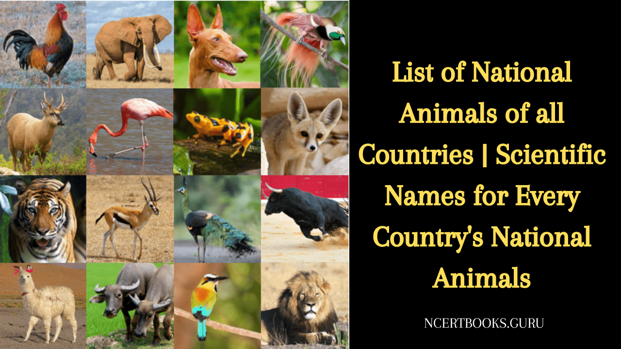 national animals of all countries
