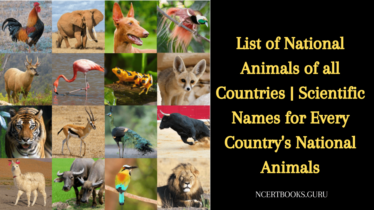 List of National Animals of all Countries in the World & it's Scientific Names List of National Animals of all Countries in the World & it's Scientific Names