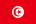 national flag of tunisia