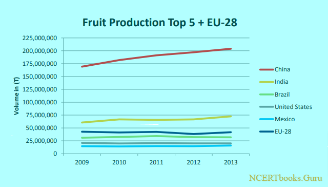 top 5 ranked Fruit production countries in the world