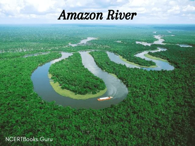 Amazon River the largest river of the world
