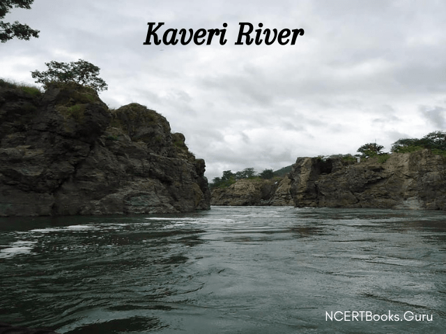 Cauvery River