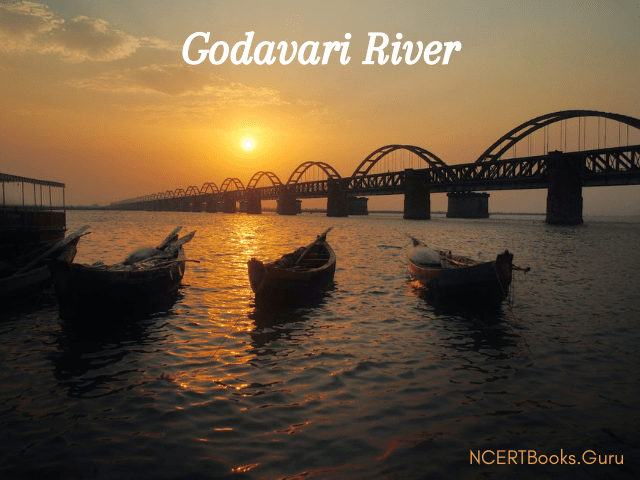 Godavari River
