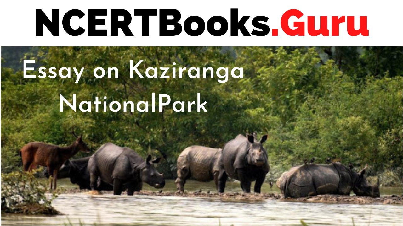 Essay on Kaziranga National Park | Kaziranga National Park Essay for  Students and Children in English - NCERT Books