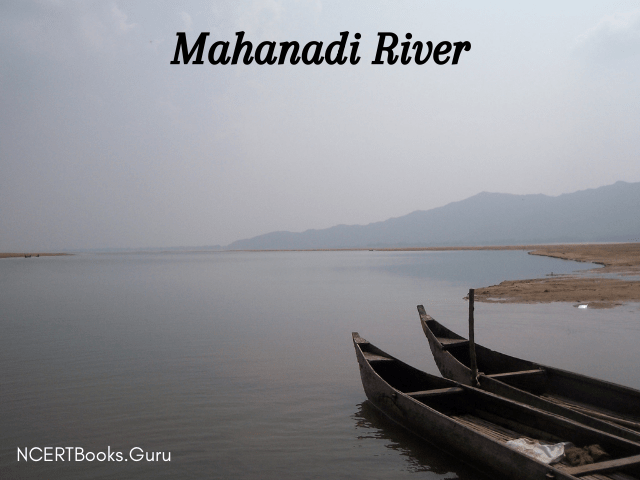 Mahanadi River