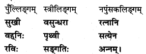 NCERT Solutions for Class 7 Sanskrit Chapter 1 सुभाषितानि 2