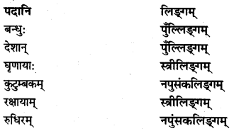 NCERT Solutions for Class 7 Sanskrit Chapter 10 विश्वबंधुत्वम् 5