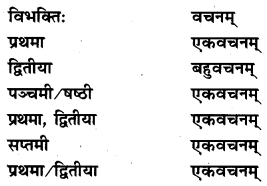 NCERT Solutions for Class 7 Sanskrit Chapter 10 विश्वबंधुत्वम् 6