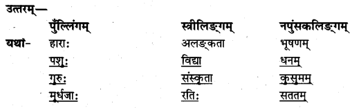 NCERT Solutions for Class 7 Sanskrit Chapter 12 विद्याधनम् 8