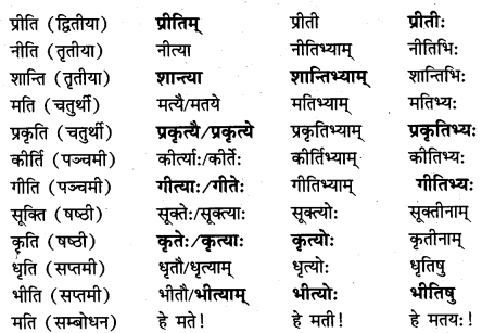 NCERT Solutions for Class 7 Sanskrit Chapter 13 अमृतं संस्कृतम् 3