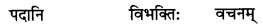 NCERT Solutions for Class 7 Sanskrit Chapter 13 अमृतं संस्कृतम् 4