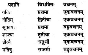 NCERT Solutions for Class 7 Sanskrit Chapter 13 अमृतं संस्कृतम् 6