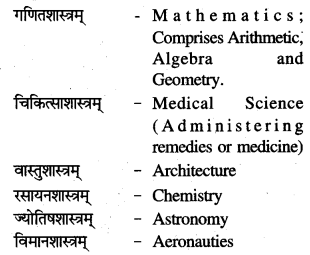 NCERT Solutions for Class 7 Sanskrit Chapter 13 अमृतं संस्कृतम् 9