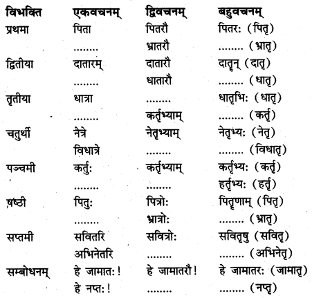 NCERT Solutions for Class 7 Sanskrit Chapter 14 अनारिकायाः जिज्ञासा 2