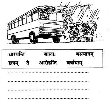 NCERT Solutions for Class 7 Sanskrit Chapter 14 अनारिकायाः जिज्ञासा 4