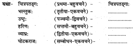 NCERT Solutions for Class 7 Sanskrit Chapter 15 लालनगीतम् 8