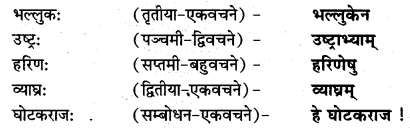 NCERT Solutions for Class 7 Sanskrit Chapter 15 लालनगीतम् 9