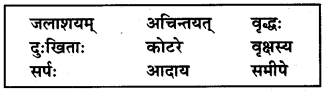 NCERT Solutions for Class 7 Sanskrit Chapter 2 दुर्बुद्धिः विनश्यति 5