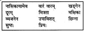 NCERT Solutions for Class 7 Sanskrit Chapter 4 हास्यबालकविसम्मेलनम् 2