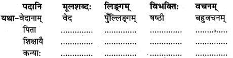 NCERT Solutions for Class 7 Sanskrit Chapter 5 पण्डिता रमाबाई 1