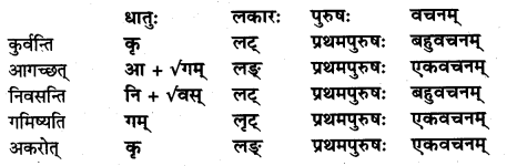 NCERT Solutions for Class 7 Sanskrit Chapter 5 पण्डिता रमाबाई 5