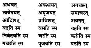 NCERT Solutions for Class 7 Sanskrit Chapter 7 सड.कल्पः सिद्धिदायकः 1