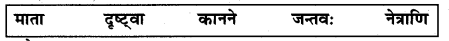 NCERT Solutions for Class 7 Sanskrit Chapter 7 सड.कल्पः सिद्धिदायकः 6