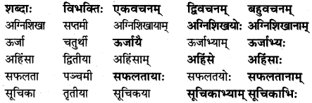 NCERT Solutions for Class 7 Sanskrit Chapter 8 त्रिवर्णः ध्वजः 6