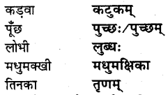NCERT Solutions for Class 8 Sanskrit Chapter 1 सुभाषितानि Q4.1