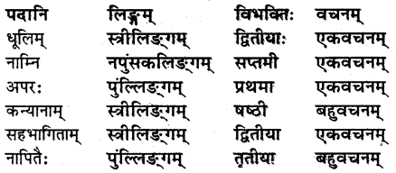 NCERT Solutions for Class 8 Sanskrit Chapter 11 सावित्री बाई फुले Q4.1