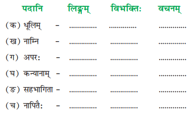 NCERT Solutions for Class 8 Sanskrit Chapter 11 सावित्री बाई फुले Q4