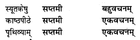 NCERT Solutions for Class 8 Sanskrit Chapter 12 कः रक्षति कः रक्षितः Q2.2
