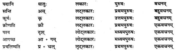 NCERT Solutions for Class 8 Sanskrit Chapter 12 कः रक्षति कः रक्षितः Q5.1