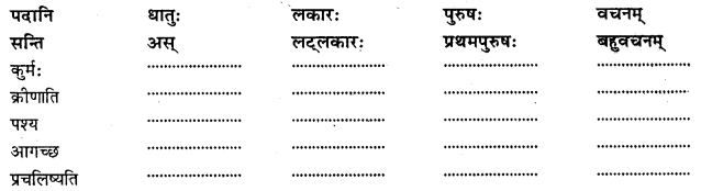 NCERT Solutions for Class 8 Sanskrit Chapter 12 कः रक्षति कः रक्षितः Q5