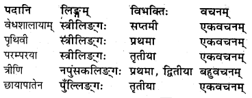 NCERT Solutions for Class 8 Sanskrit Chapter 14 आर्यभटः Q6.1