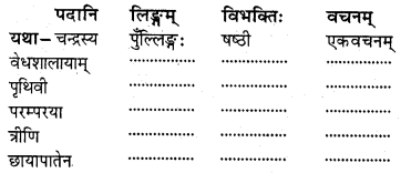 NCERT Solutions for Class 8 Sanskrit Chapter 14 आर्यभटः Q6