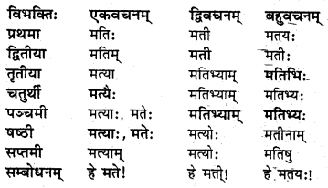 NCERT Solutions for Class 8 Sanskrit Chapter 14 आर्यभटः Q7.2