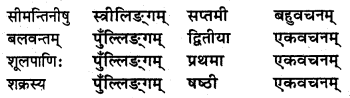NCERT Solutions for Class 8 Sanskrit Chapter 15 प्रहेलिकाः Q4.2