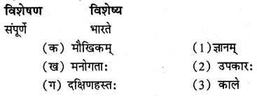 NCERT Solutions for Class 8 Sanskrit Chapter 3 डिजीभारतम् Q4