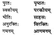NCERT Solutions for Class 8 Sanskrit Chapter 4 सदैव पुरतो निधेहि चरणम् Q5.1