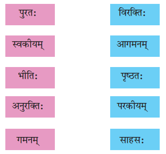 NCERT Solutions for Class 8 Sanskrit Chapter 4 सदैव पुरतो निधेहि चरणम् Q5