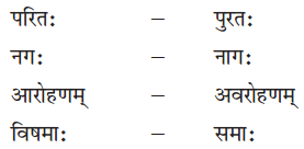 NCERT Solutions for Class 8 Sanskrit Chapter 4 सदैव पुरतो निधेहि चरणम् Q9