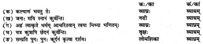 NCERT Solutions for Class 8 Sanskrit Chapter 5 कण्टकेनैव कण्टकम् Q3.1