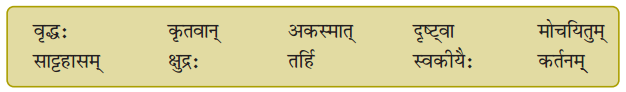 NCERT Solutions for Class 8 Sanskrit Chapter 5 कण्टकेनैव कण्टकम् Q5